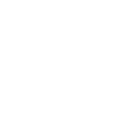 Logo PLAYMOBIL