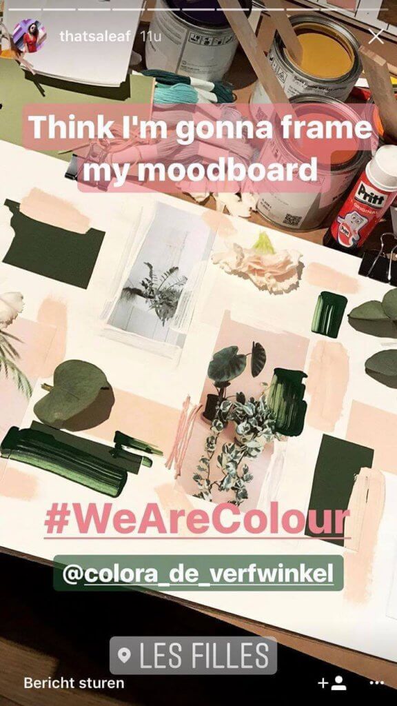 We are colour - colora - BOSS paints - Instastories THATSALEAF - June 2017