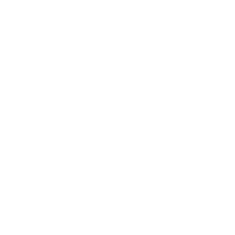 Logo PLAYMOBIL STORIES