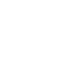 Logo Havana Club x Daily Paper