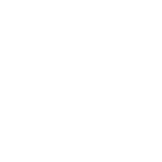 Logo Vinted: DAY-TO-DAY PR