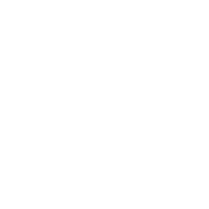 Logo Loop x Tomorrowland