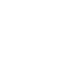 Logo 365 days of Alken-Maes