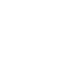 Logo INSTAX mini 12