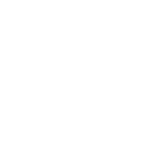 Logo Woody x Anne Kurris
